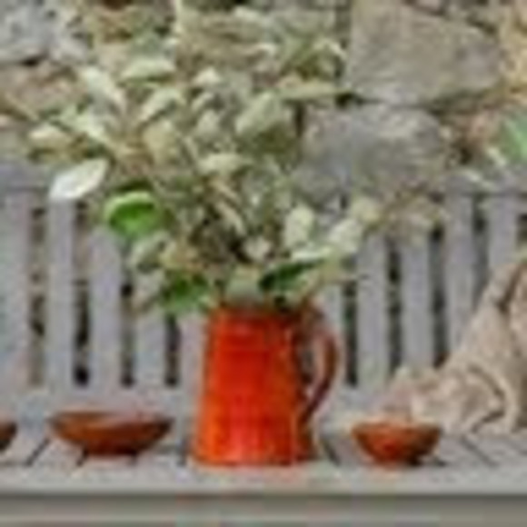 Meet your Posher, T - Picture 1 of 1